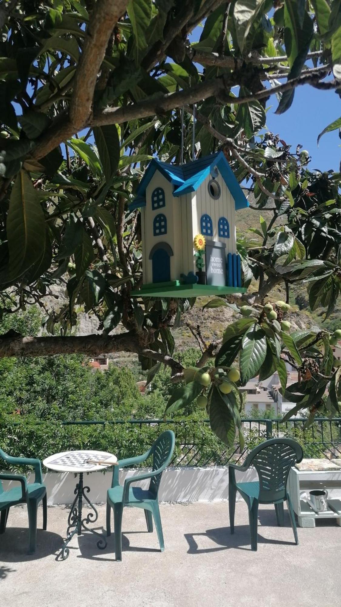 La Casa De La Abuela Pinos Genil Exterior foto
